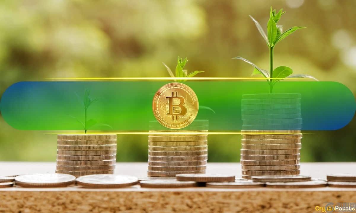 这位交易员押注 10 亿美元购买比特币，称该资产即将突破高点