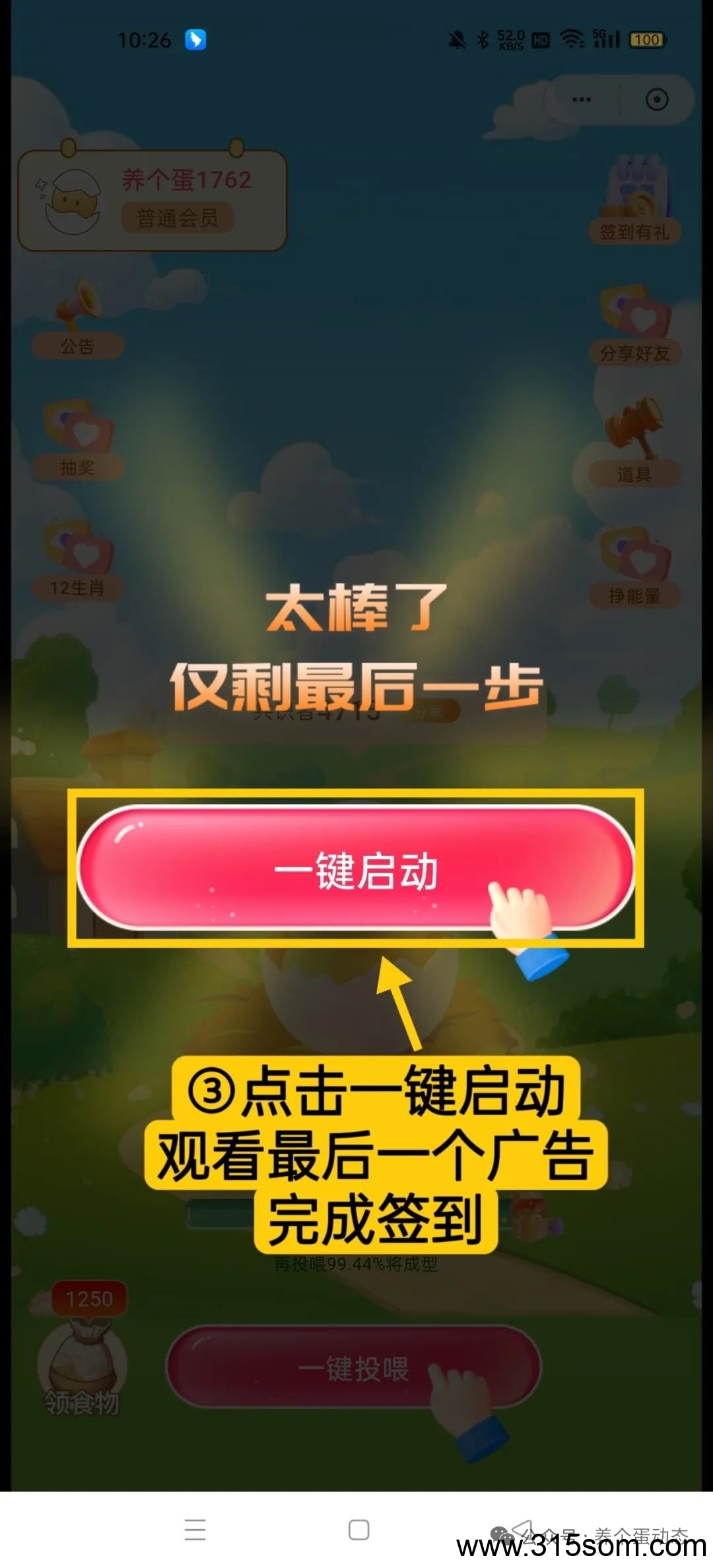 养个蛋最新黑马项目！圈圈加十二生肖养成全新玩法！