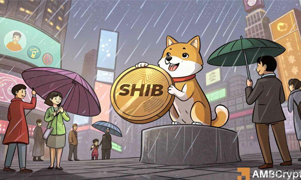 柴犬面临下跌 18% 的风险，但鲸鱼仍在继续购买——它们知道什么？