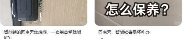 回家开门像演武侠片，最懂享受的一批人都在它身上找到乐子了