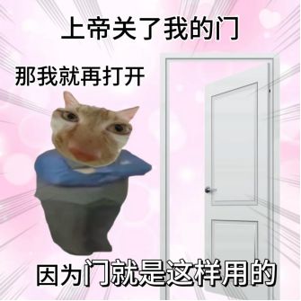回家开门像演武侠片，最懂享受的一批人都在它身上找到乐子了