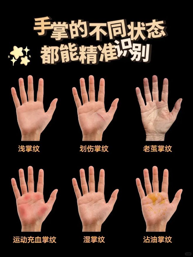 回家开门像演武侠片，最懂享受的一批人都在它身上找到乐子了