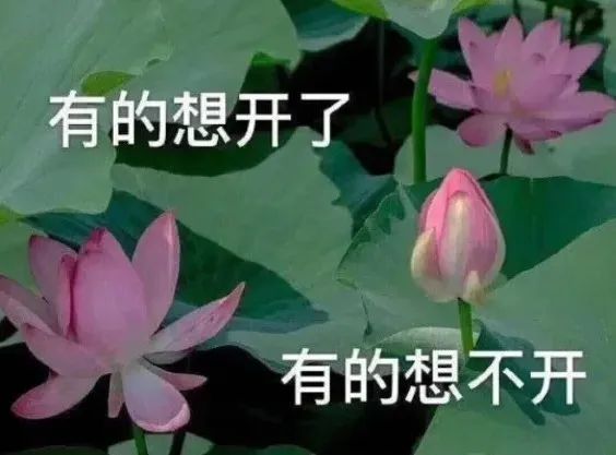 回家开门像演武侠片，最懂享受的一批人都在它身上找到乐子了