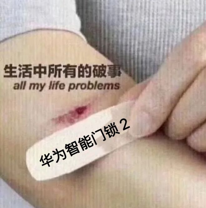 回家开门像演武侠片，最懂享受的一批人都在它身上找到乐子了